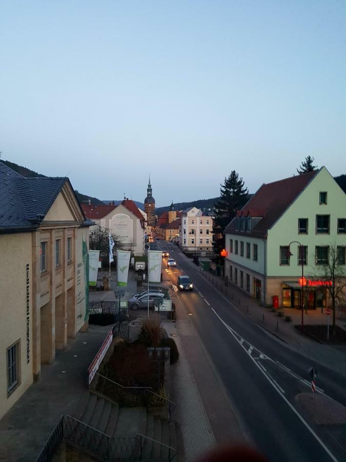 Appartments Endler Bad Schandau Buitenkant foto